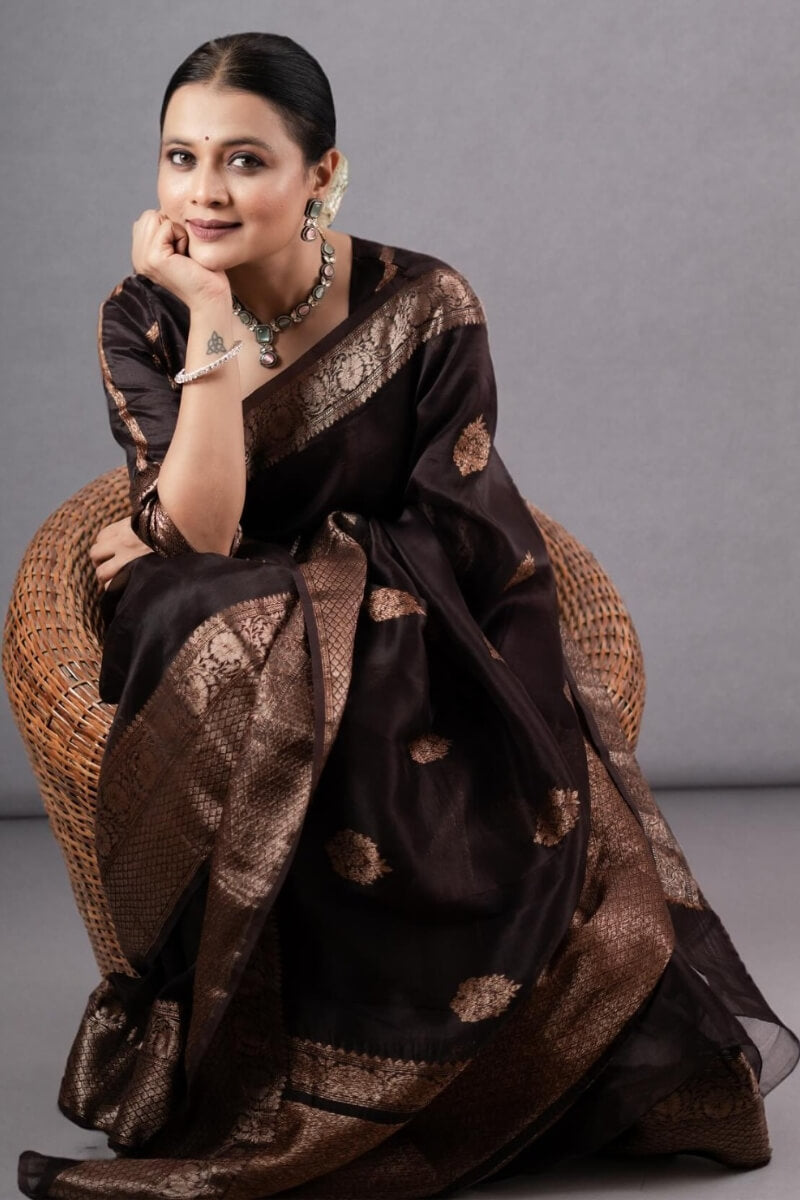 Designer Brown Soft Silk Saree With Ravishing Blouse Piece