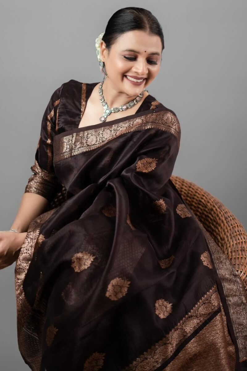 Designer Brown Soft Silk Saree With Ravishing Blouse Piece