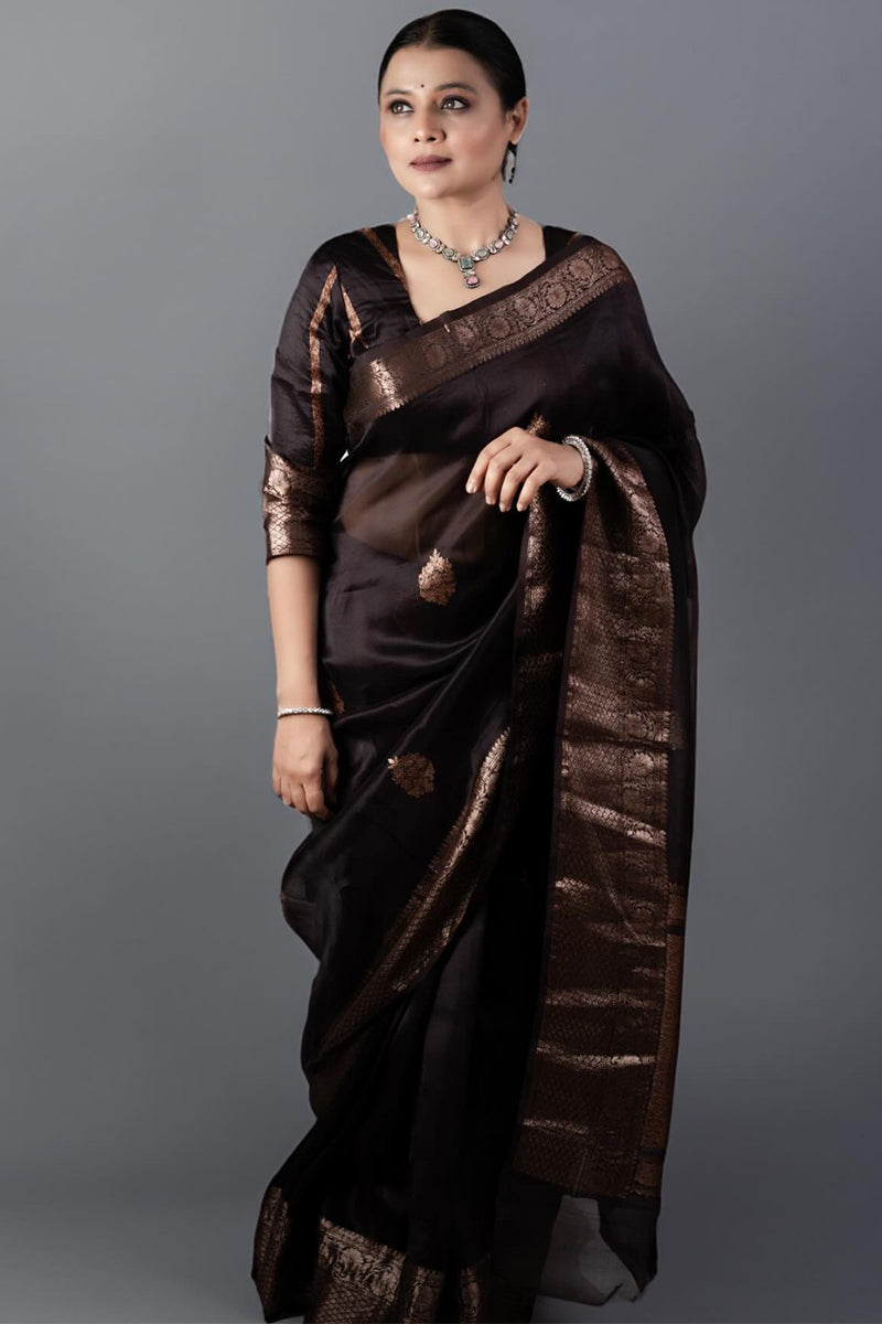 Designer Brown Soft Silk Saree With Ravishing Blouse Piece