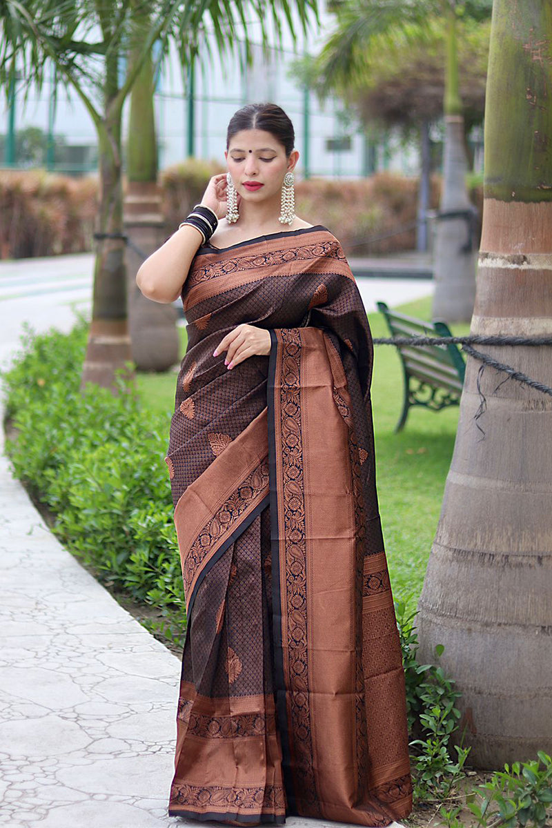 Seraphic Black Color Banarasi Soft Silk Saree With Blouse Piece