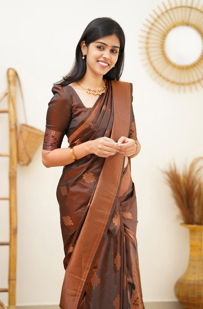 Luminous Brown Color Soft Lichi Silk Saree With Blouse Piece