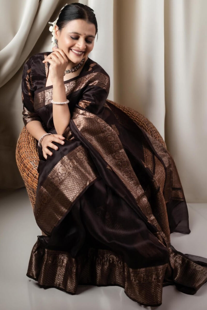 brown colour silk saree