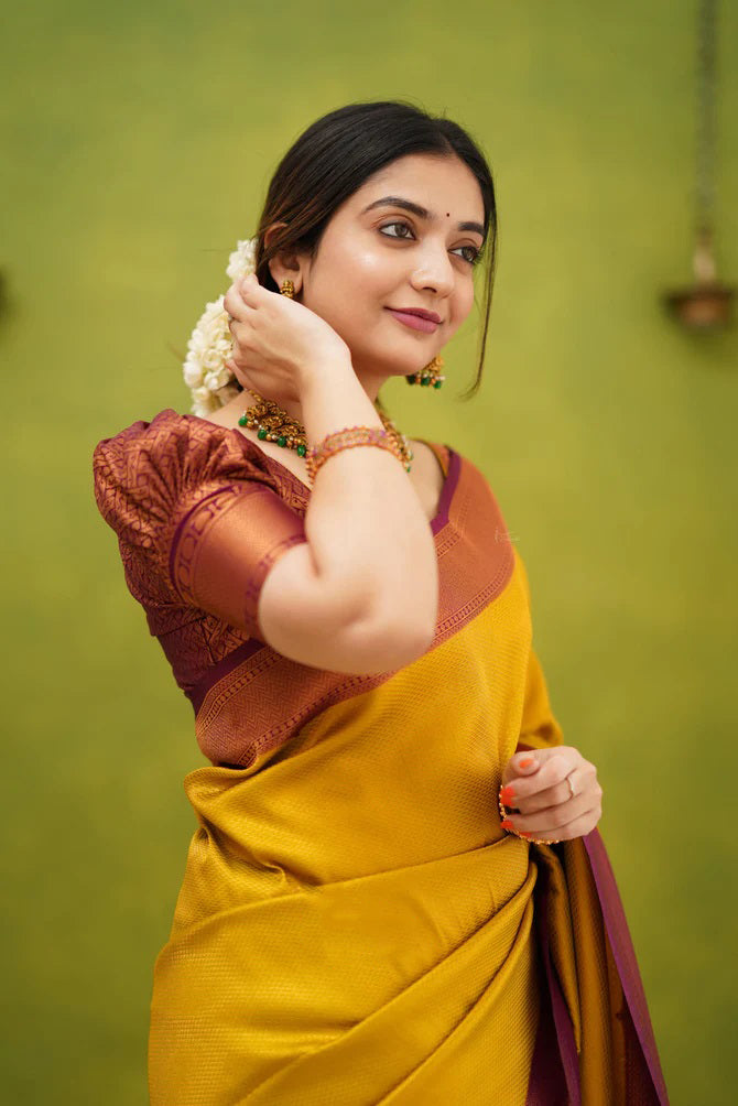 golden kanjivaram silk saree