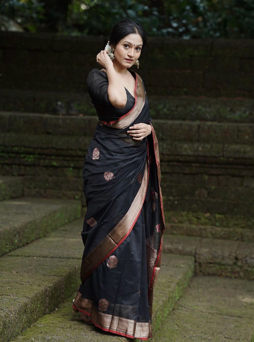 sarees animated